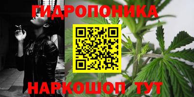 Альфа ПВП Севастополь