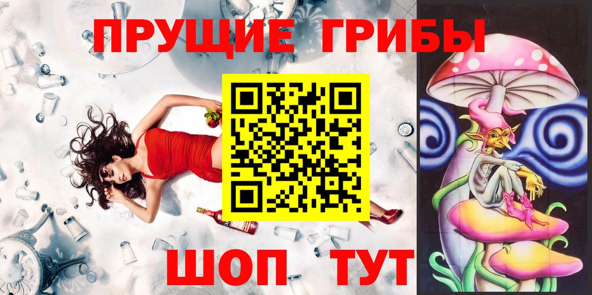 Галлюциногенные грибы Psilocybe Барнаул