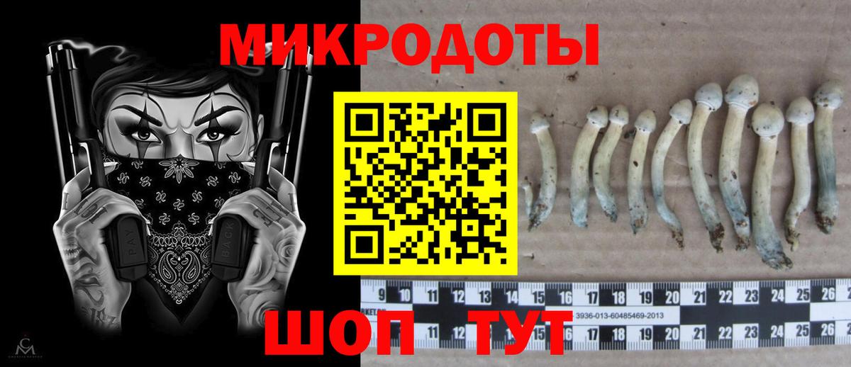 Барнаул  Псилоцибиновые грибы GOLDEN TEACHER  Вход с VPN 